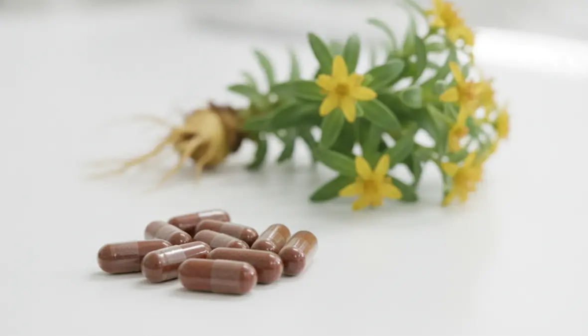 Rhodiola rosea supplements and fresh plant showing adaptogenic herbs for athletic performance enhancement